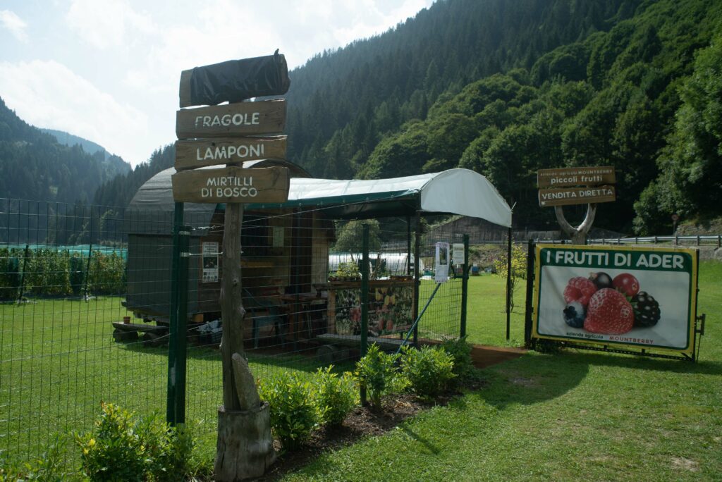 frutti Ader ingresso