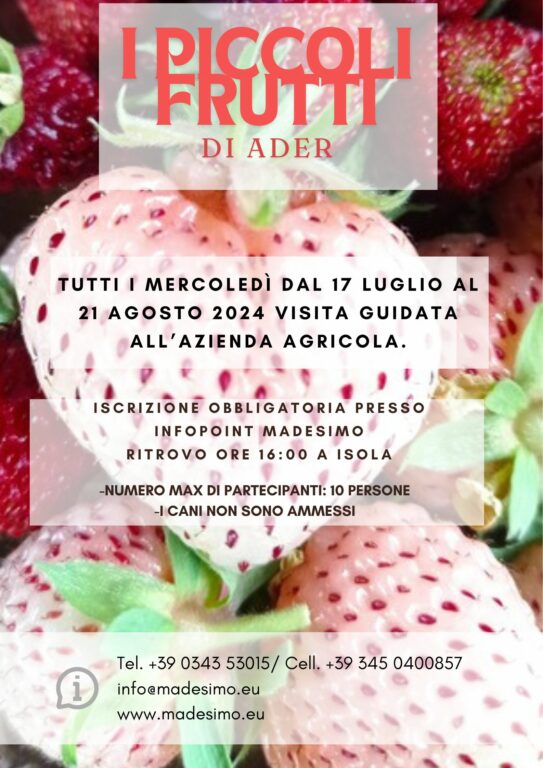 Visita I Piccoli Frutti di Ader 2024