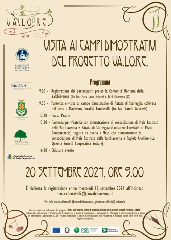 Progetto Valore 2024