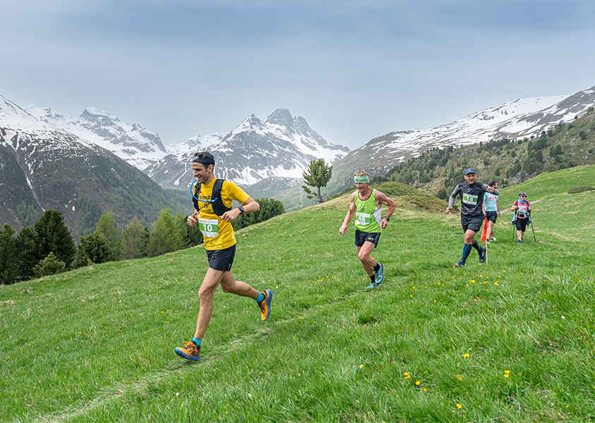 TrailRun Alta Valtellina