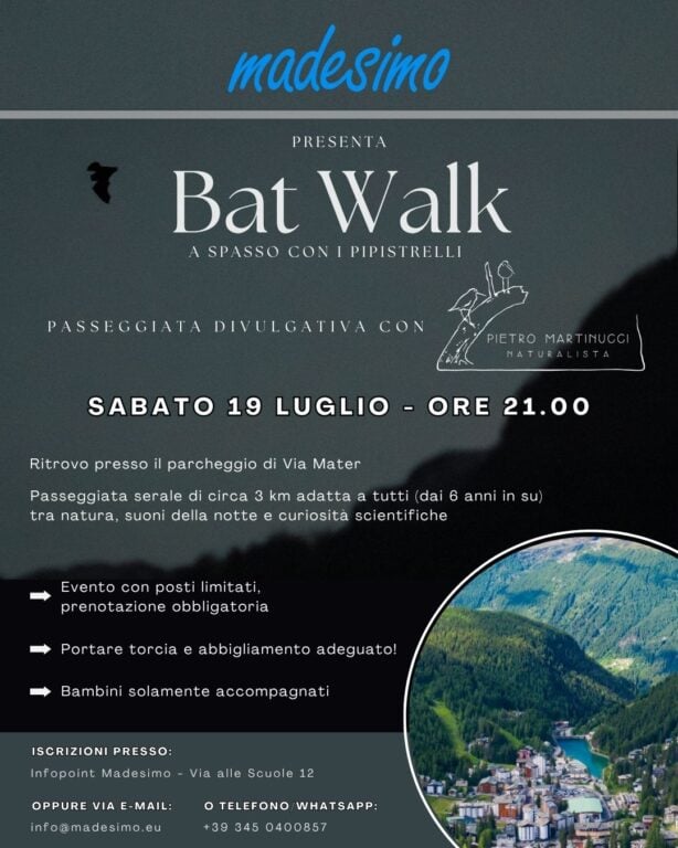 Bat Walk Madesimo 19.07.2025 locandina