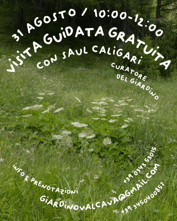 Locandina visita al Giardino Alpino Valcava