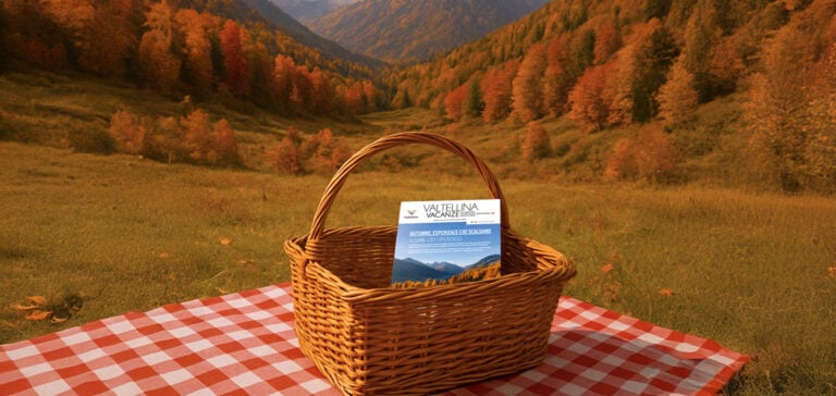 copertina valtellina vacanze autunno, bosco di sfondo con cesto picnic contenente la rivista