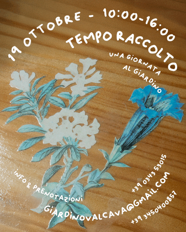 Giardino alpino Valcava evento ottobre