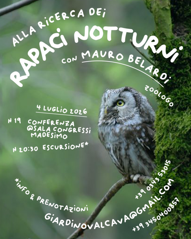 locandina rapaci notturni  al Giardino Alpino Valcava