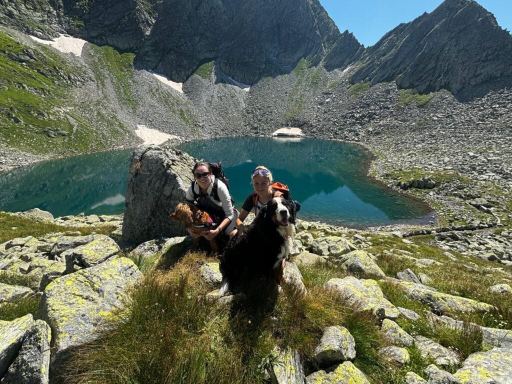trekking a 4 zampe